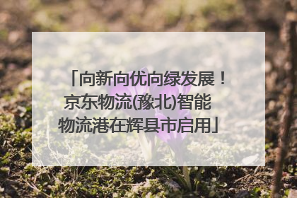 向新向优向绿发展！京东物流(豫北)智能物流港在辉县市启用