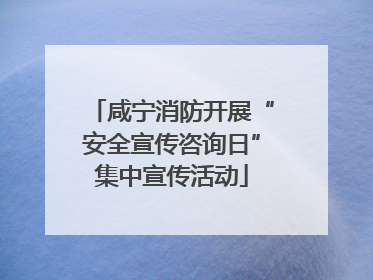 咸宁消防开展“安全宣传咨询日”集中宣传活动