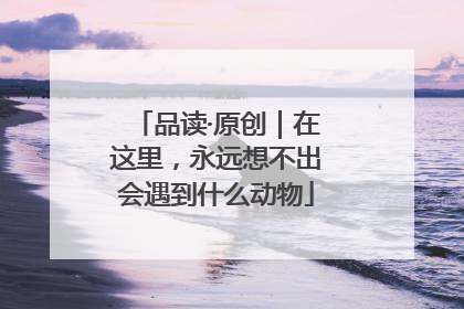 品读·原创｜在这里，永远想不出会遇到什么动物