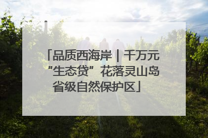 品质西海岸｜千万元“生态贷”花落灵山岛省级自然保护区