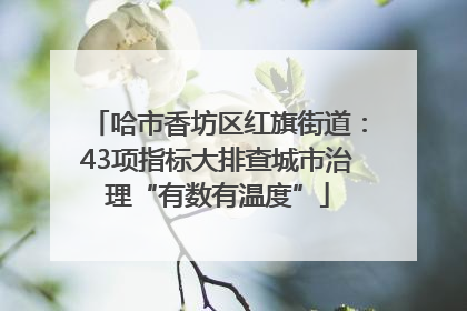 哈市香坊区红旗街道：43项指标大排查城市治理“有数有温度”