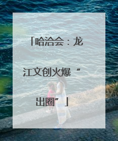 哈洽会：龙江文创火爆“出圈”