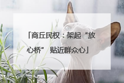 商丘民权：架起“放心桥” 贴近群众心