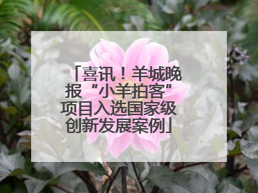 喜讯！羊城晚报“小羊拍客”项目入选国家级创新发展案例