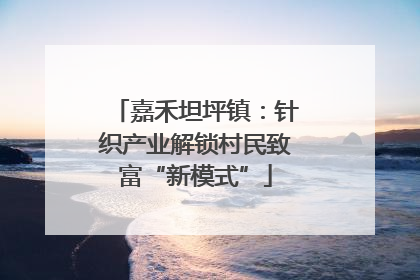 嘉禾坦坪镇：针织产业解锁村民致富“新模式”