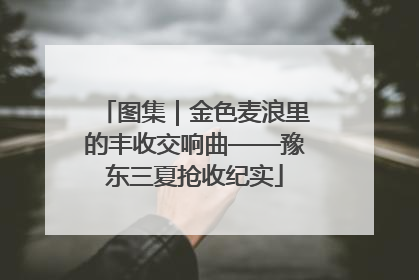 图集｜金色麦浪里的丰收交响曲——豫东三夏抢收纪实