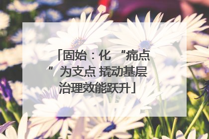 固始：化 “痛点”为支点 撬动基层治理效能跃升