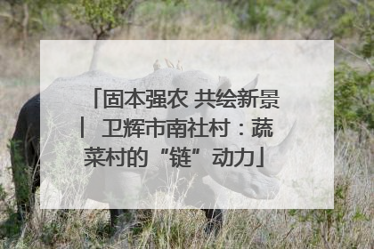 固本强农 共绘新景 ︳卫辉市南社村：蔬菜村的“链”动力
