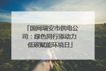 国网瑞安市供电公司：绿色同行添动力 低碳赋能环境日