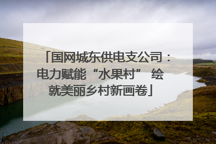 国网城东供电支公司：电力赋能“水果村” 绘就美丽乡村新画卷