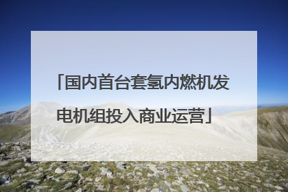 国内首台套氢内燃机发电机组投入商业运营