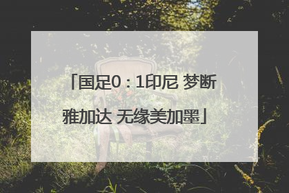 国足0∶1印尼 梦断雅加达 无缘美加墨
