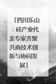 四川乐山：硅产业代表专家齐聚共商技术创新与协同发展