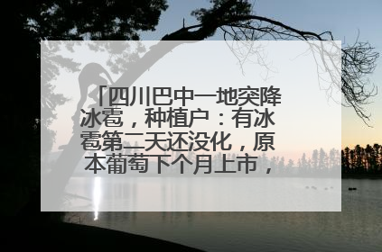 四川巴中一地突降冰雹，种植户：有冰雹第二天还没化，原本葡萄下个月上市，现在全被打落