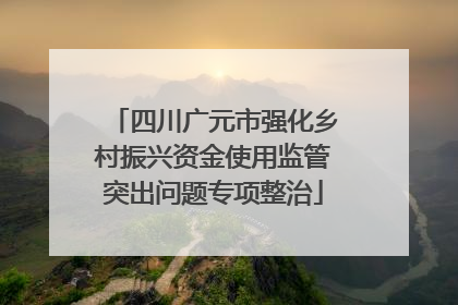 四川广元市强化乡村振兴资金使用监管突出问题专项整治