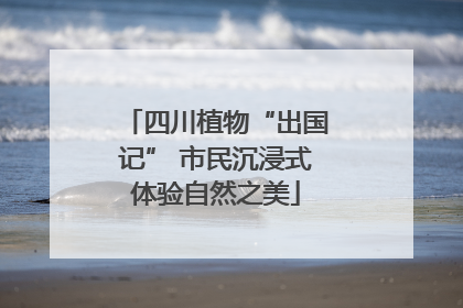 四川植物“出国记” 市民沉浸式体验自然之美