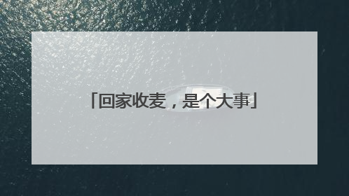 回家收麦，是个大事