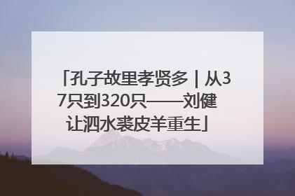 孔子故里孝贤多｜从37只到320只——刘健让泗水裘皮羊重生
