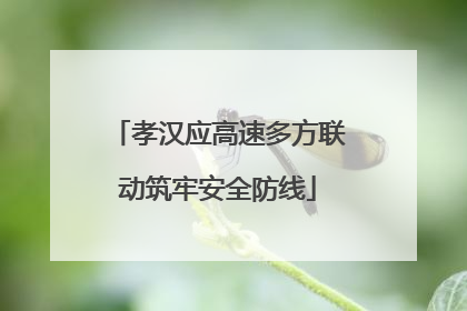 孝汉应高速多方联动筑牢安全防线