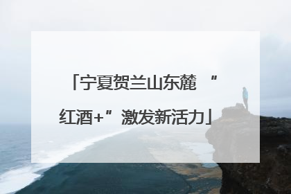 宁夏贺兰山东麓 “红酒+”激发新活力