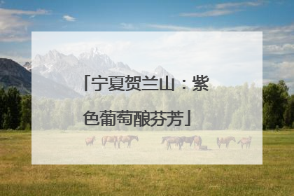 宁夏贺兰山：紫色葡萄酿芬芳