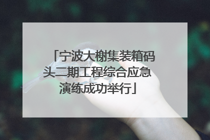 宁波大榭集装箱码头二期工程综合应急演练成功举行