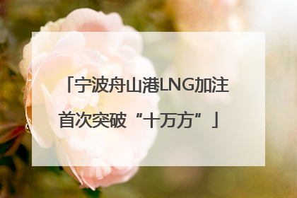 宁波舟山港LNG加注首次突破“十万方”