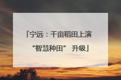 宁远：千亩稻田上演 “智慧种田” 升级