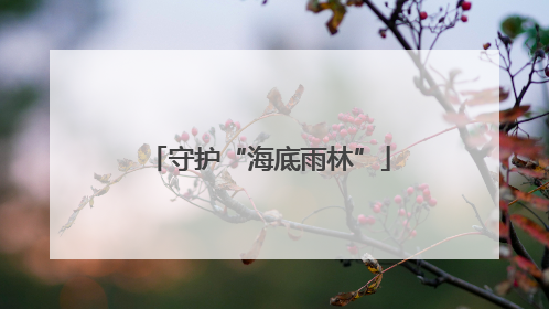 守护“海底雨林”