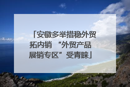 安徽多举措稳外贸拓内销 “外贸产品展销专区”受青睐