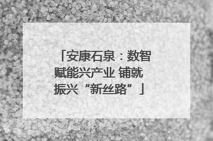 安康石泉：数智赋能兴产业 铺就振兴“新丝路”