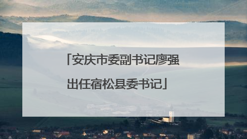 安庆市委副书记廖强出任宿松县委书记
