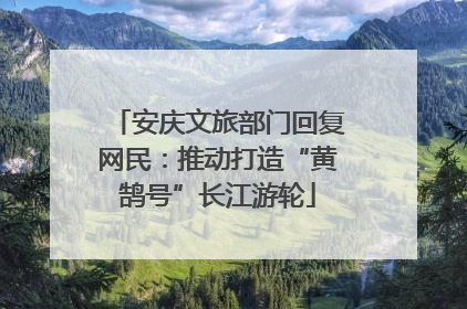 安庆文旅部门回复网民：推动打造“黄鹄号”长江游轮