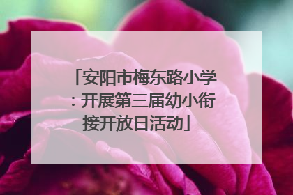 安阳市梅东路小学：开展第三届幼小衔接开放日活动