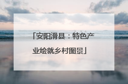 安阳滑县：特色产业绘就乡村图景