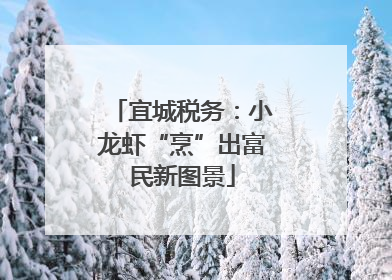 宜城税务：小龙虾“烹”出富民新图景