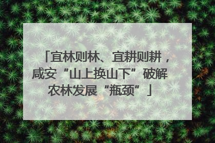 宜林则林、宜耕则耕，咸安“山上换山下”破解农林发展“瓶颈”