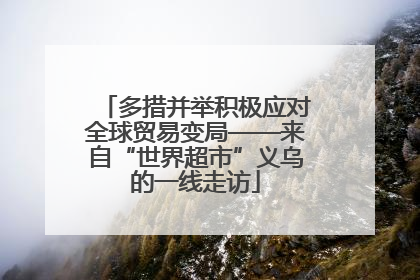 多措并举积极应对全球贸易变局——来自“世界超市”义乌的一线走访