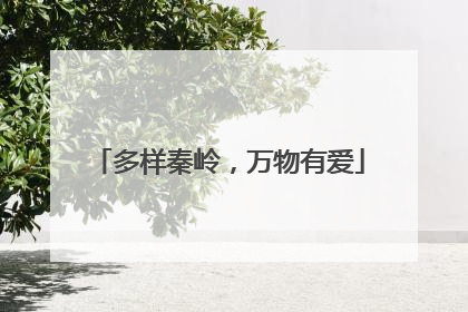 多样秦岭，万物有爱