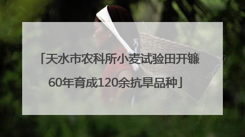 天水市农科所小麦试验田开镰 60年育成120余抗旱品种