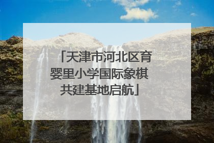 天津市河北区育婴里小学国际象棋共建基地启航