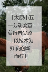 太原市五一劳动奖章获得者吴波：以技术为刃 向创新而行