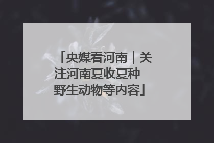 央媒看河南｜关注河南夏收夏种 野生动物等内容
