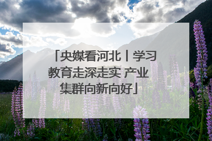 央媒看河北丨学习教育走深走实 产业集群向新向好
