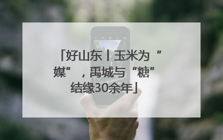 好山东丨玉米为“媒”，禹城与“糖”结缘30余年