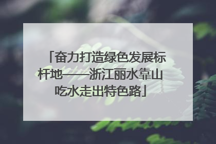 奋力打造绿色发展标杆地——浙江丽水靠山吃水走出特色路