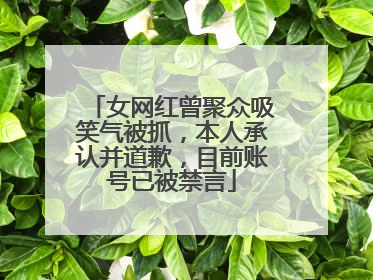 女网红曾聚众吸笑气被抓，本人承认并道歉，目前账号已被禁言