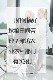 如何搞好秋粮田间管理？潍坊农业农村部门有实招