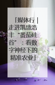 媒体行｜走进凯盛浩丰“番茄硅谷”：看数字神经下的精准农业