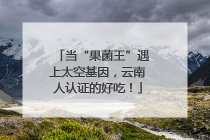 当“果菌王”遇上太空基因，云南人认证的好吃！